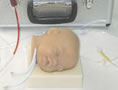 高級矽膠嬰兒頭部雙側靜脈註射穿刺訓練模型