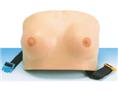 乳房自檢模型(矽膠)