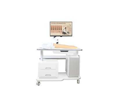 ����Ѩλ�����ý���ѧϵͳ(�ֱ۰�) 