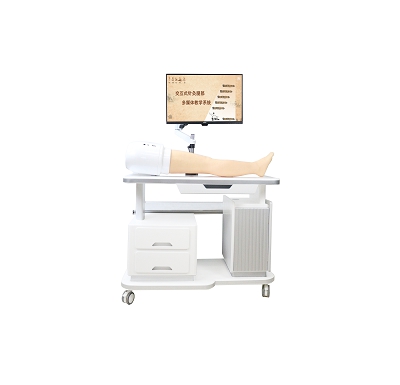 ����Ѩλ�����ý���ѧϵͳ(�Ȳ���) 