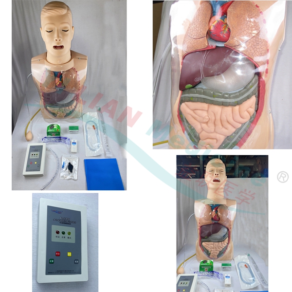 �๦��͸��ϴθѵ��ģ��