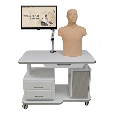 ����Ѩλ�����ý���ѧϵͳ�����ɰ棩 