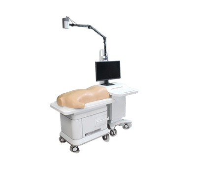 ����ʽ��������ѵ������ϵͳ 