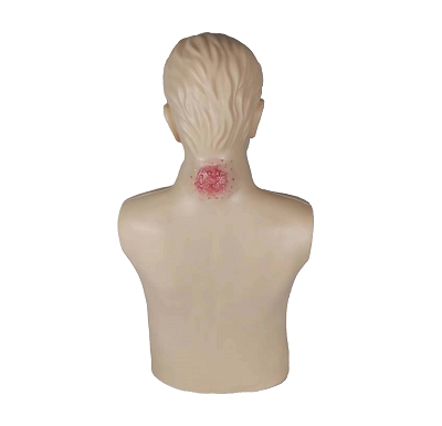 �߼���ͷ�����ģ�� 